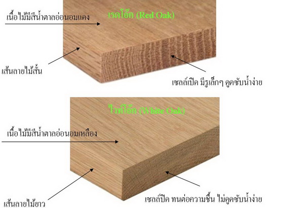 ความแตกต่างระหว่างไม้เรดโอ๊คกับไม้ไวท์โอ๊ค
